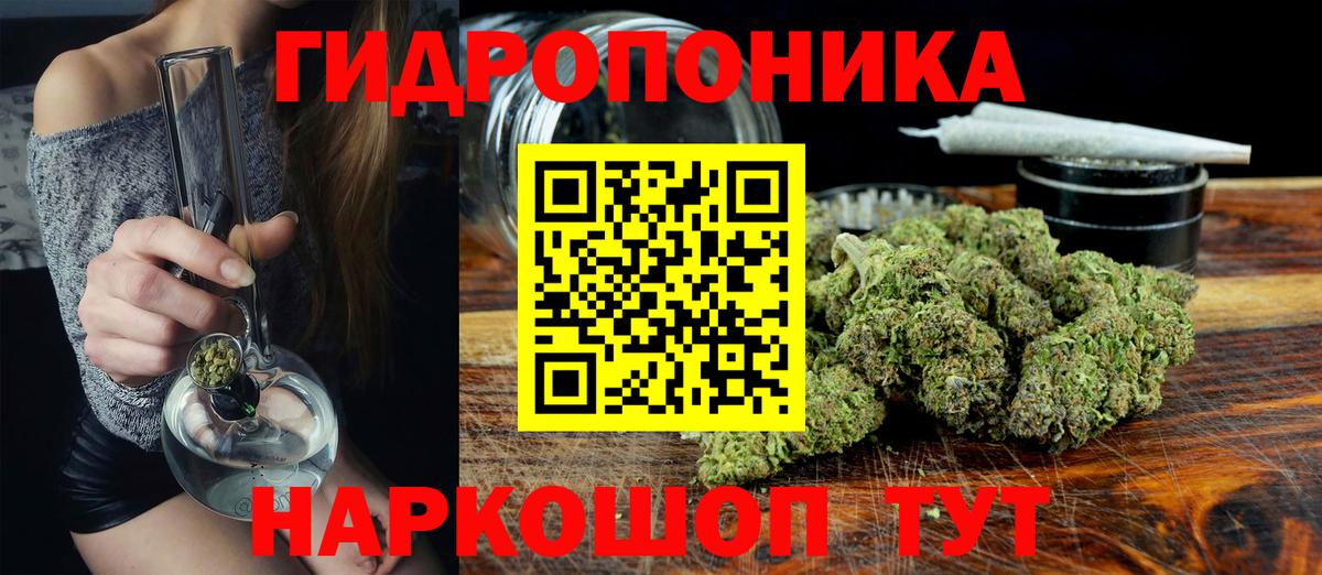 Конопля индика  Каннабис семена  Амурск  Вход с VPN 